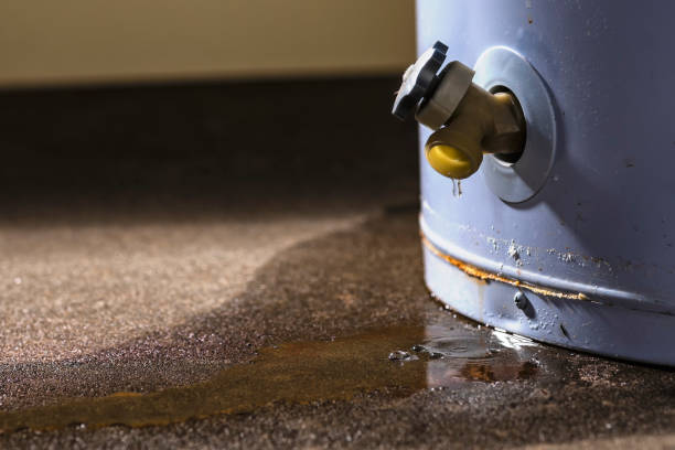 Best Water damage repair service  in Mp Pendleton South, CA
