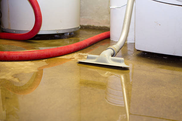 Best Professional water damage repair  in Mp Pendleton South, CA
