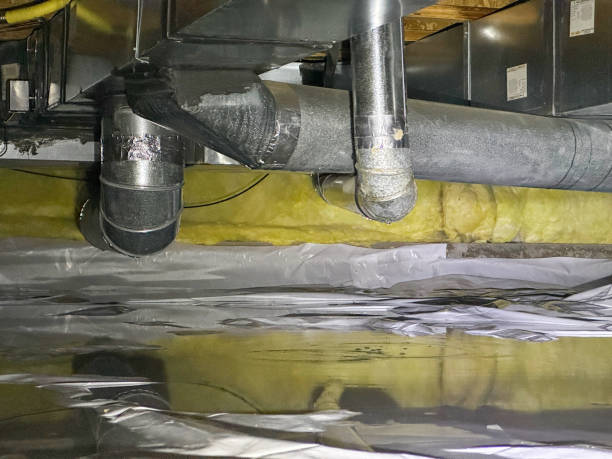 Best Water damage cleanup near me  in Mp Pendleton South, CA