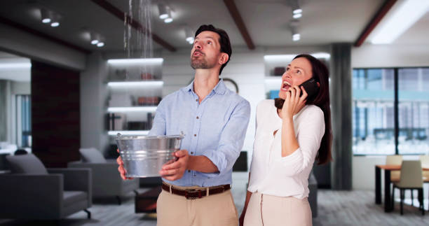 Best Basement water damage restoration  in Mp Pendleton South, CA
