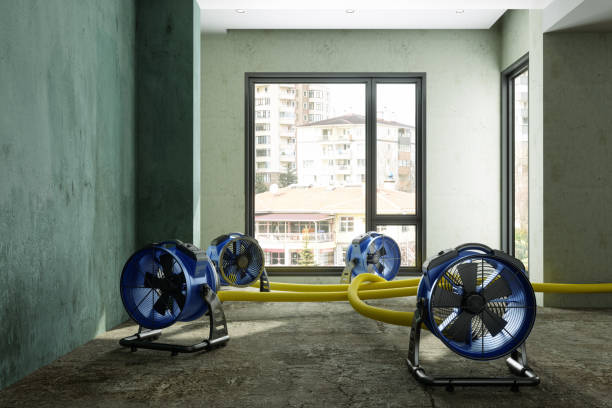 Best Residential water damage restoration  in Mp Pendleton South, CA